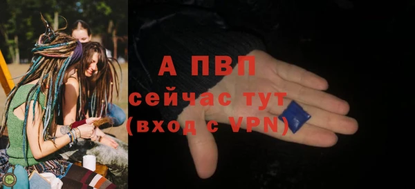 твердый Богданович