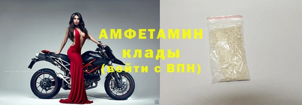 твердый Богданович