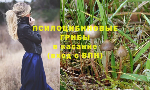 твердый Богданович