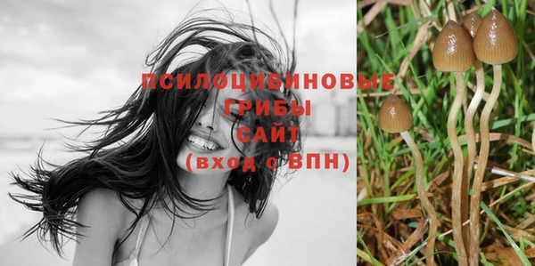 метадон Богородск