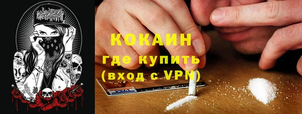 твердый Богданович