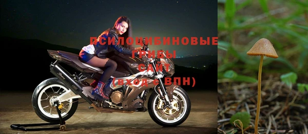 метадон Богородск