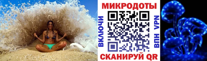 купить наркотик  Комсомольск-на-Амуре  Галлюциногенные грибы Psilocybe 